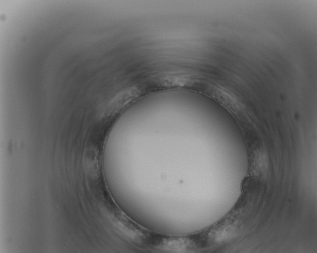 X0000062890414200601171518