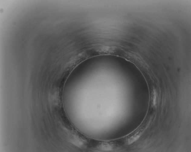 X0000062890416200601171518