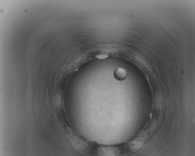 X0000062890417200601171518