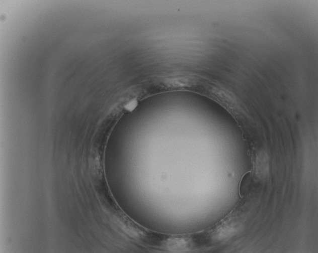 X0000062890418200601171518