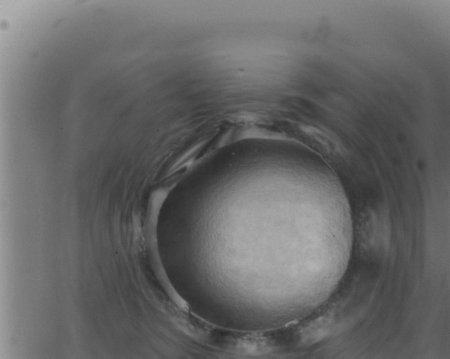 X0000062890420200601171518