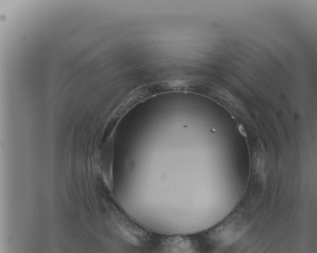 X0000062890421200601171518