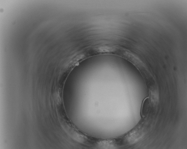 X0000062890422200601171518