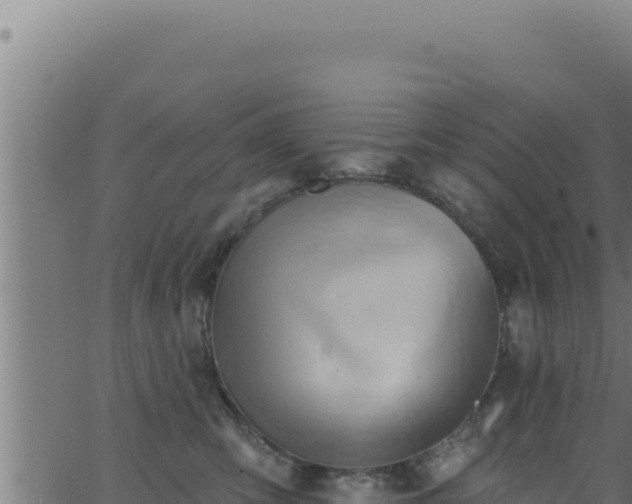 X0000062890423200601171518