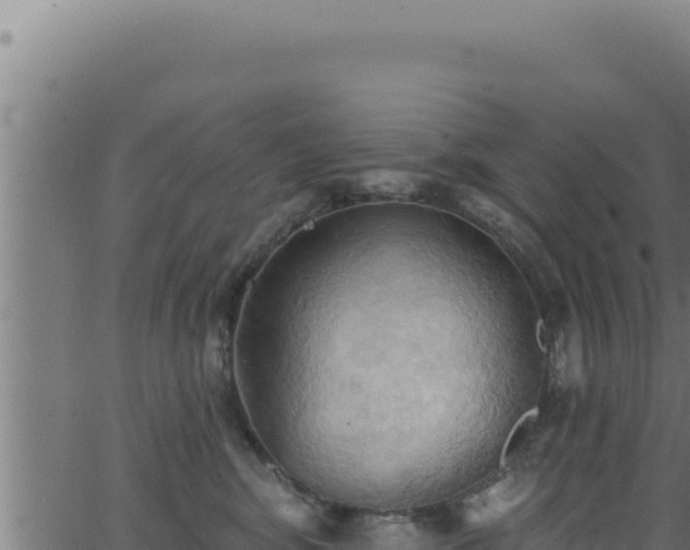 X0000062890424200601171518