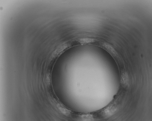 X0000062890426200601171518