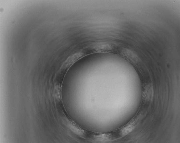 X0000062890430200601171518