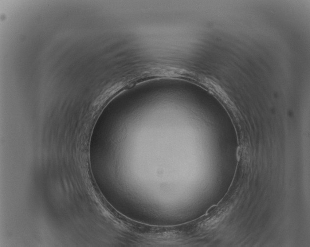 X0000062890433200601171517