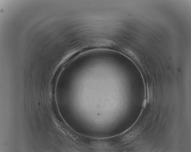 X0000062890435200601171517