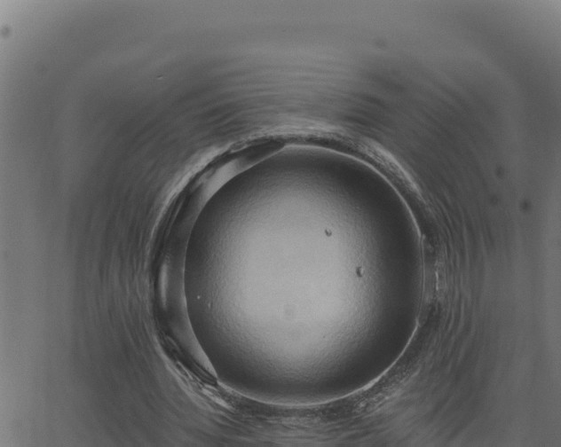 X0000062890436200601171517