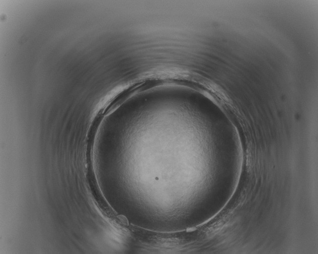 X0000062890438200601171517