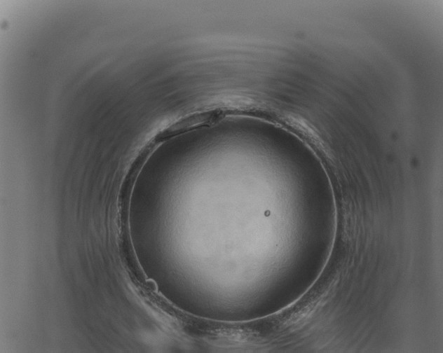 X0000062890439200601171517