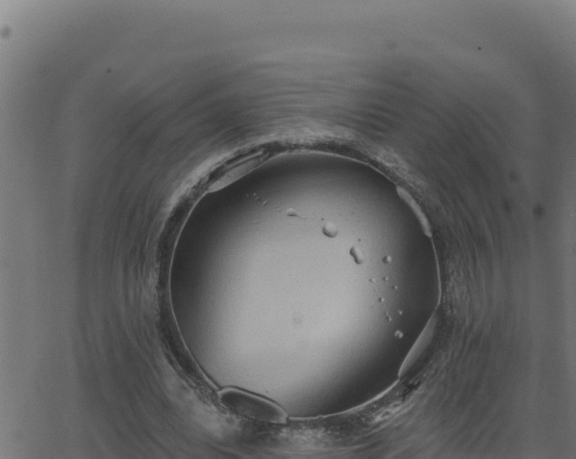 X0000062890440200601171517