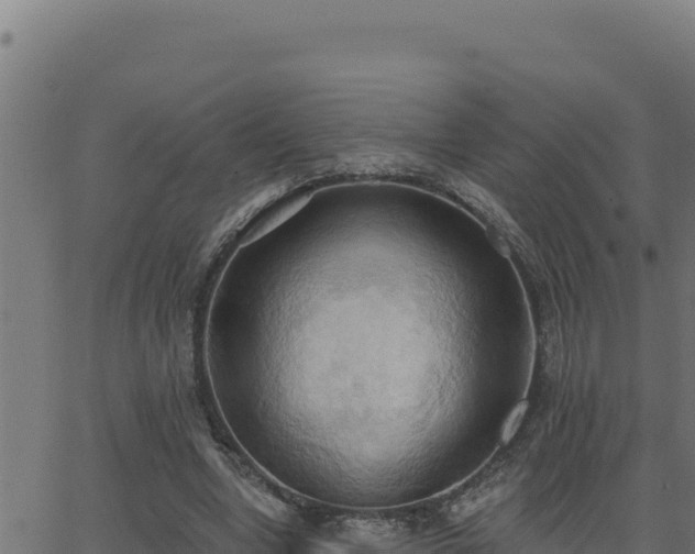 X0000062890442200601171518