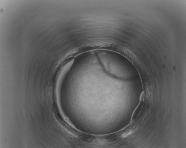 X0000062890444200601171518