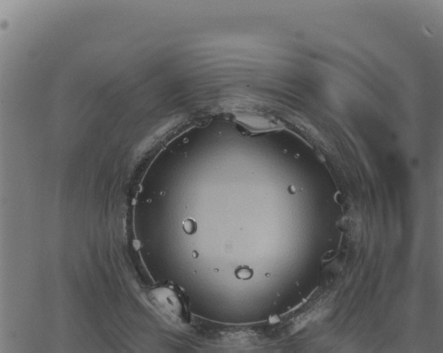 X0000062890446200601171518