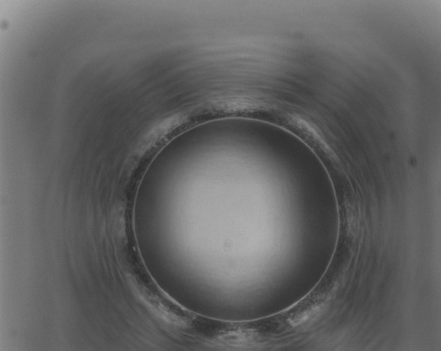 X0000062890447200601171518