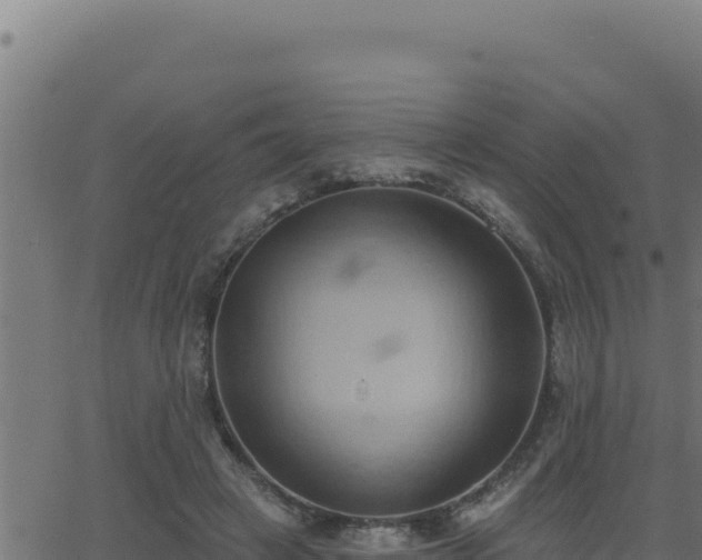 X0000062890449200601171518