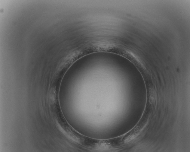 X0000062890451200601171518