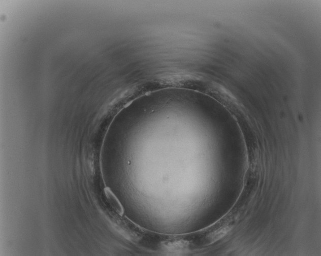 X0000062890452200601171518