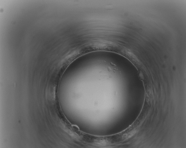 X0000062890454200601171518