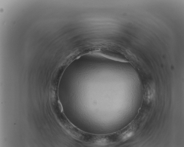 X0000062890456200601171518