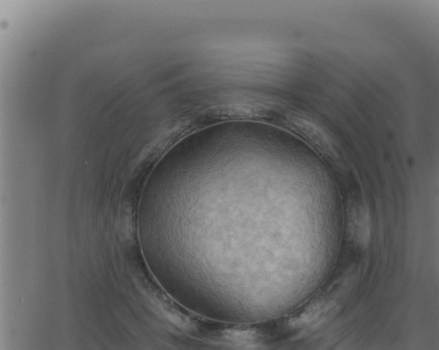 X0000062890457200601171518