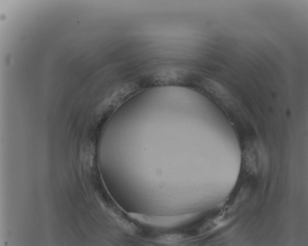 X0000062890458200601171518