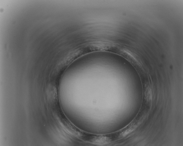 X0000062890459200601171518