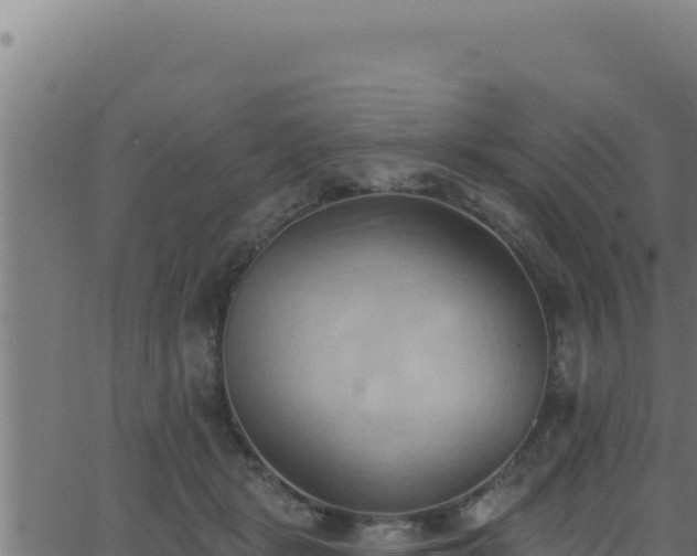 X0000062890461200601171518