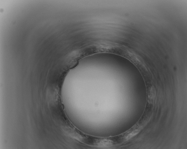 X0000062890463200601171518