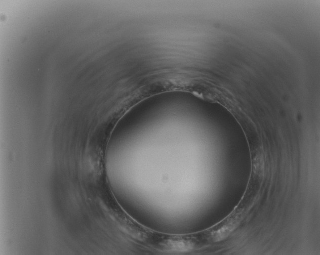 X0000062890464200601171518