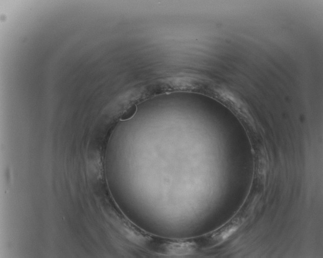 X0000062890465200601171518