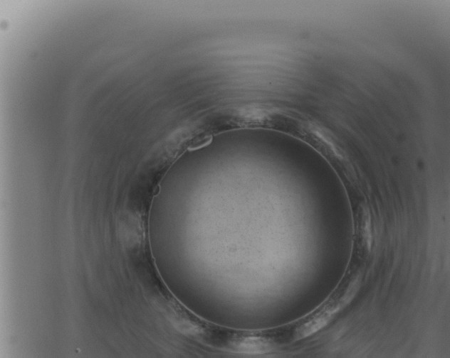 X0000062890467200601171518