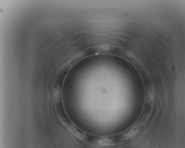 X0000062890468200601171518