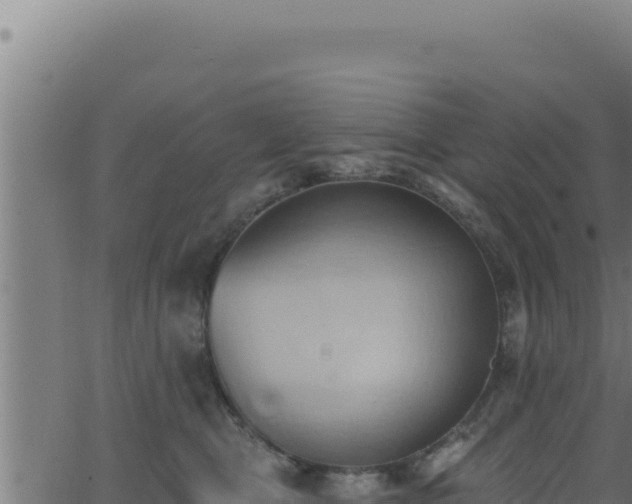 X0000062890469200601171518