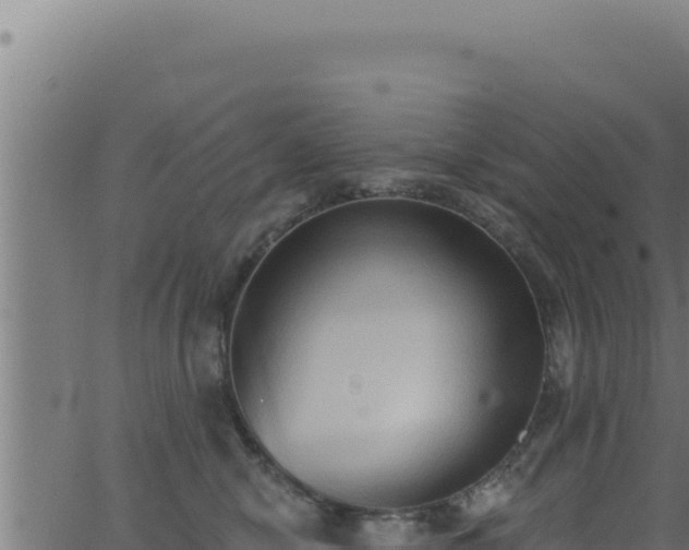 X0000062890470200601171518