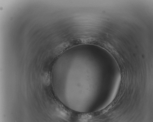 X0000062890471200601171518