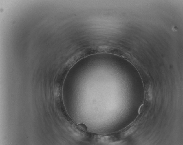 X0000062890472200601171518