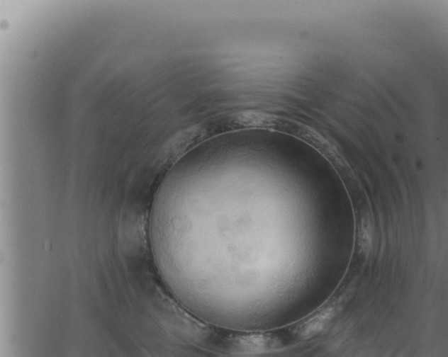 X0000062890473200601171518