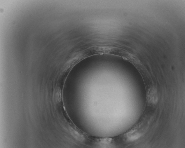 X0000062890474200601171518