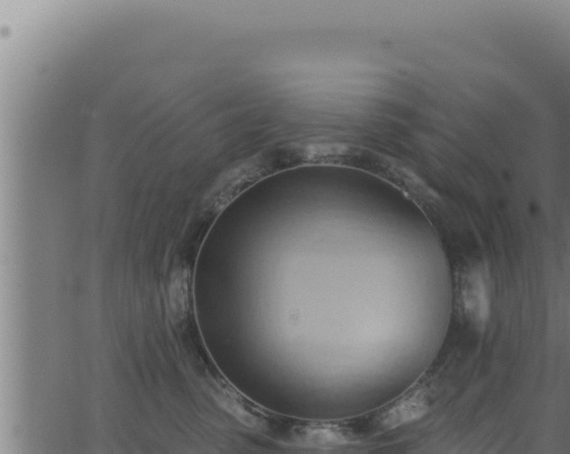 X0000062890475200601171518