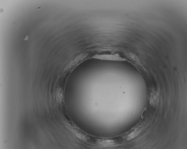 X0000062890476200601171518