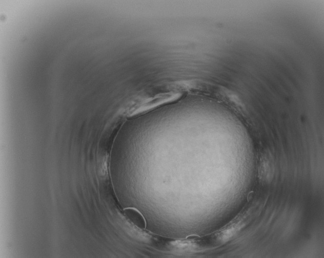 X0000062890477200601171518