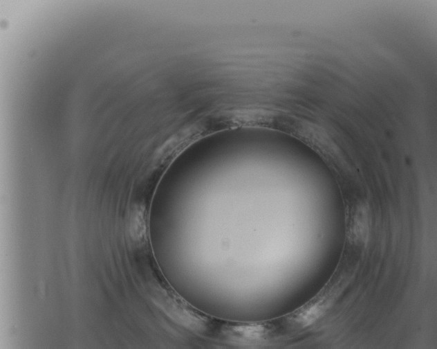 X0000062890478200601171518