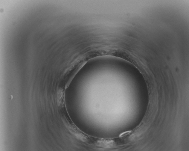 X0000062890480200601171518