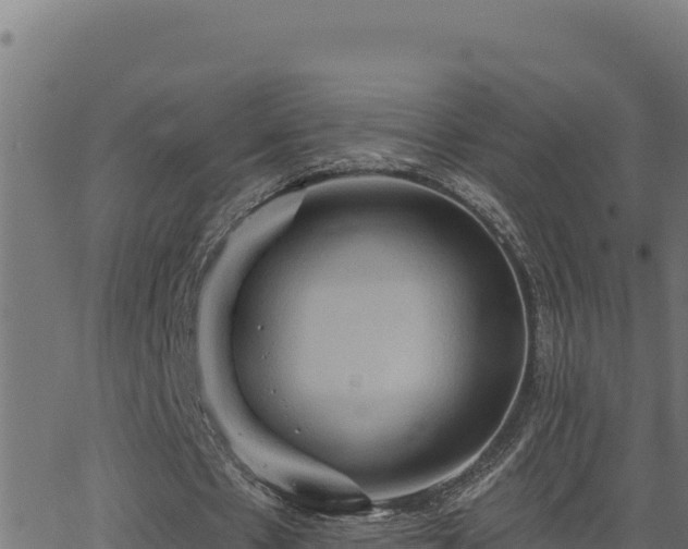 X0000062890481200601171517