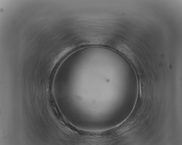 X0000062890483200601171517