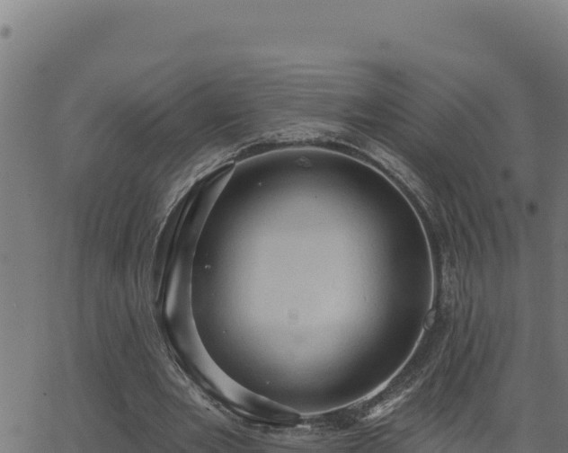 X0000062890485200601171517