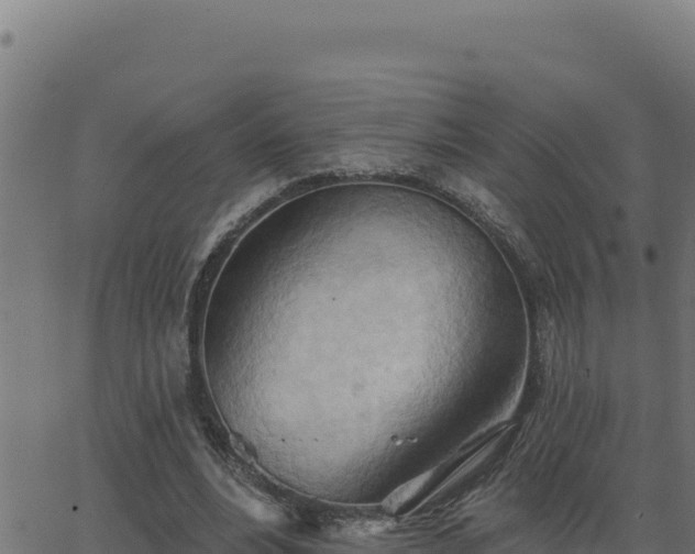 X0000062890488200601171517